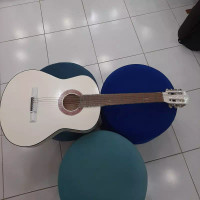 گیتار سفید با کیف